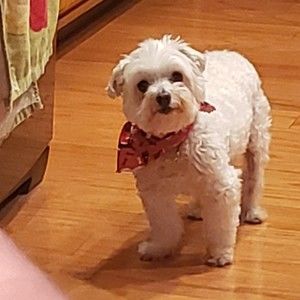 Meet your Posher, Alicia